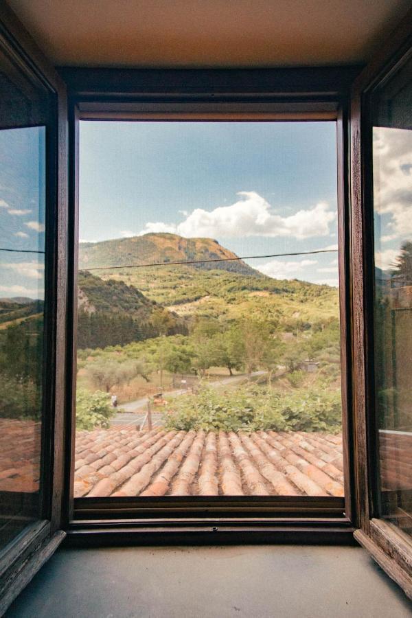 I Cedri Agriturismo Biologico Orsomarso Екстер'єр фото