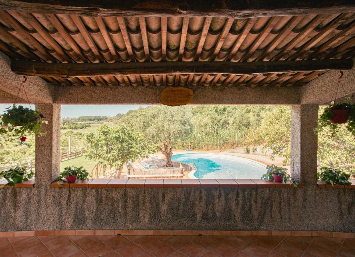 I Cedri Agriturismo Biologico Orsomarso Екстер'єр фото